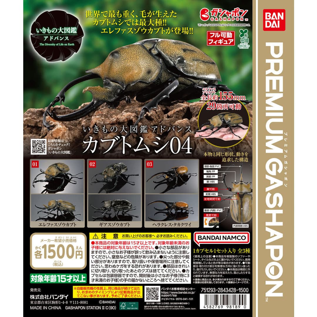 いきもの大図鑑アドバンス カブトムシ04