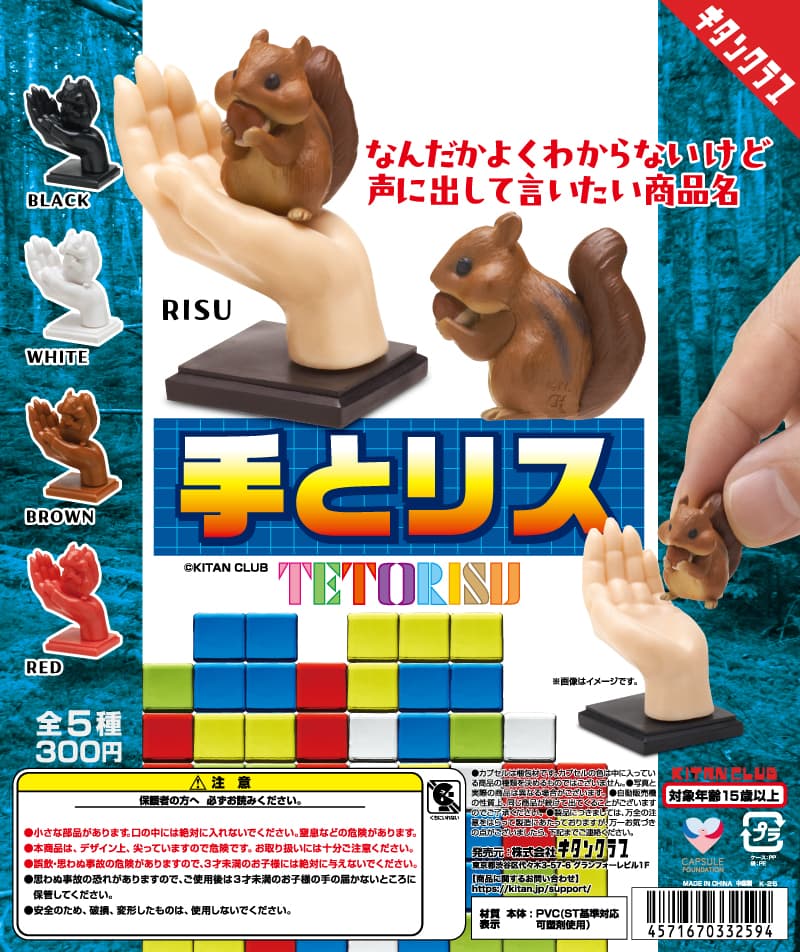 手とリス