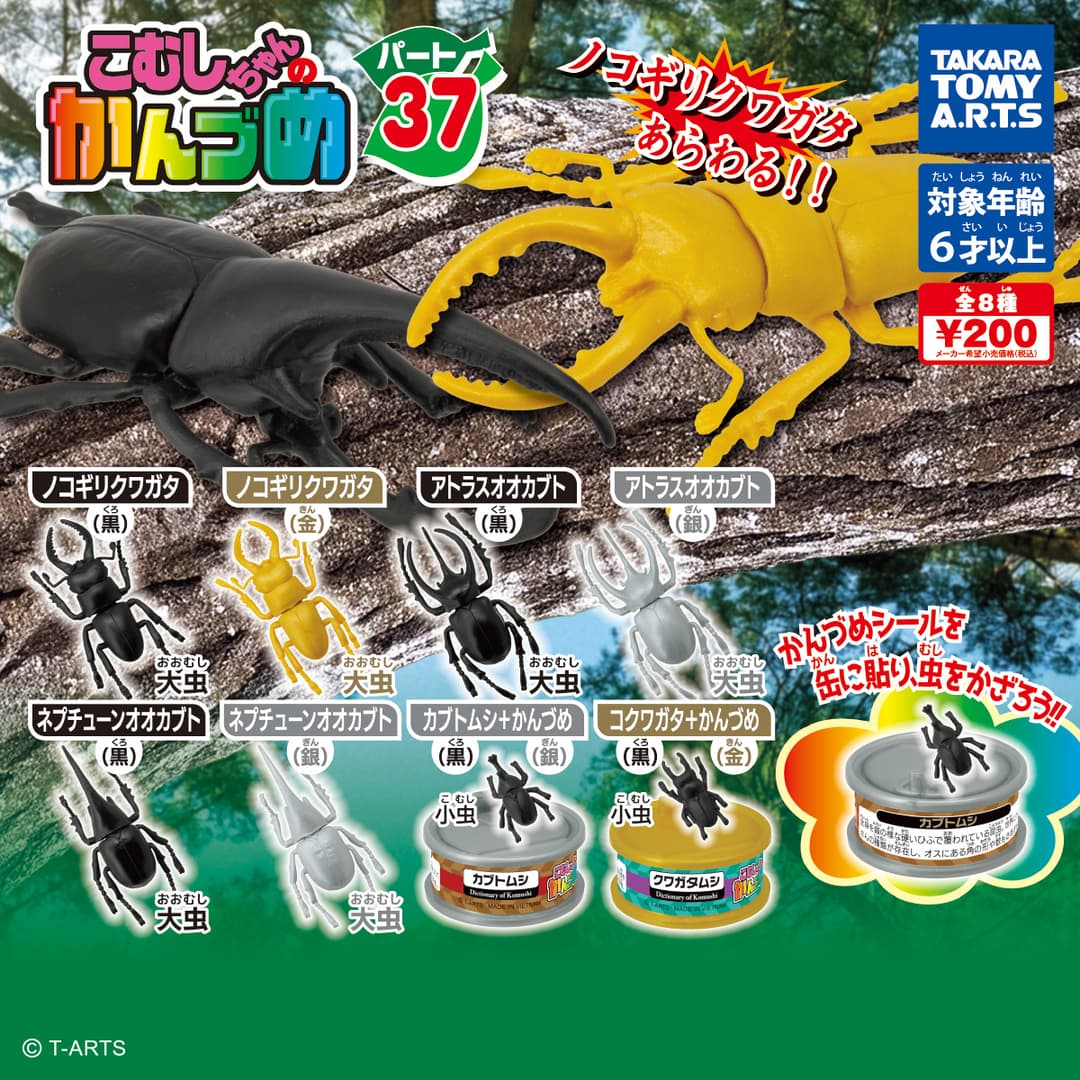 こむしちゃんのかんづめ! パート37