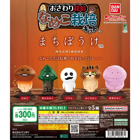 なめこ栽培キット まちぼうけ
